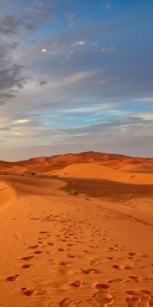 Merzouga (Sahara sunrise)-169_(A)